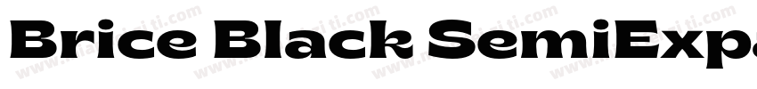 Brice Black SemiExpanded字体转换